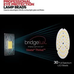 Honeywell LED Adjustable Metal Desk Lamp With Touch Controls - HWT-01A -Honeywell Store hwt 01a honeywell led metal desk lamp 6